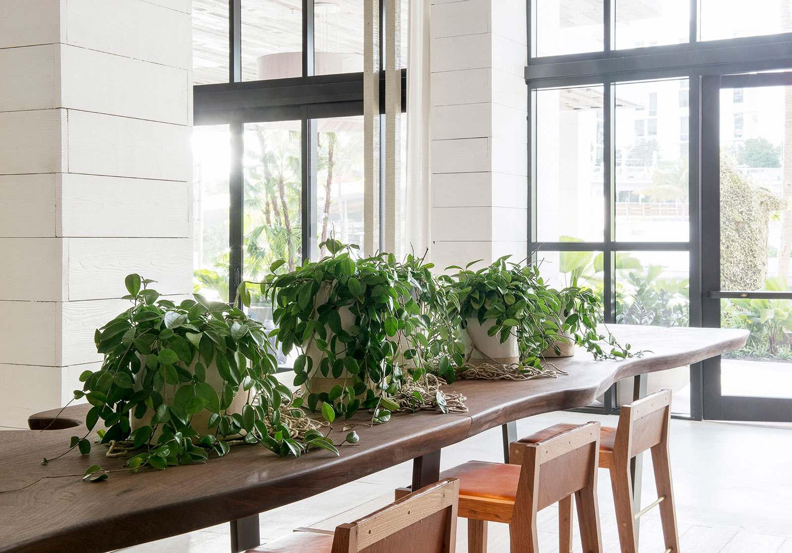 1Hotel-South-Beach-Lobby-Hoya-Carnosa-Photo-by-Livio-Mancinelli-Courtesy-of-Plant-the-Future