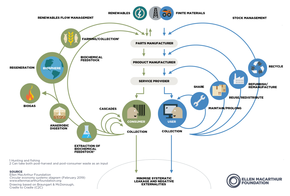 What is a circular economy and why is it important in design blog image